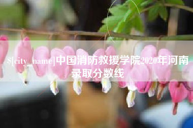 连云港中国消防救援学院2020年河南录取分数线