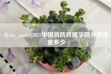 连云港2021中国消防救援学院分数线是多少