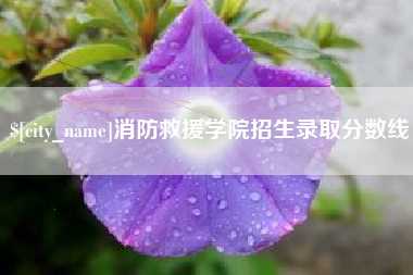 连云港消防救援学院招生录取分数线