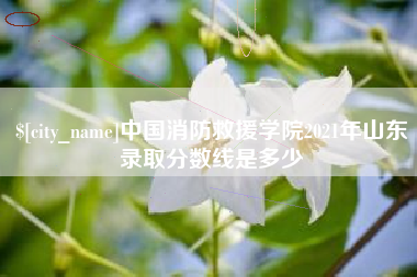 连云港中国消防救援学院2021年山东录取分数线是多少