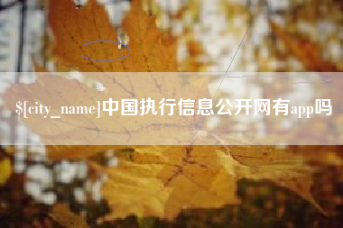 连云港中国执行信息公开网有app吗
