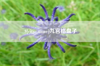 连云港九宫格盘子