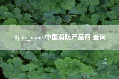 连云港中国消防产品网 查询