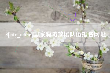 连云港国家消防救援队伍报名网址