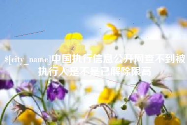 连云港中国执行信息公开网查不到被执行人是不是已解除限高