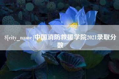 连云港中国消防救援学院2021录取分数