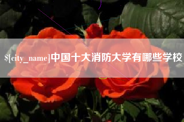 连云港中国十大消防大学有哪些学校