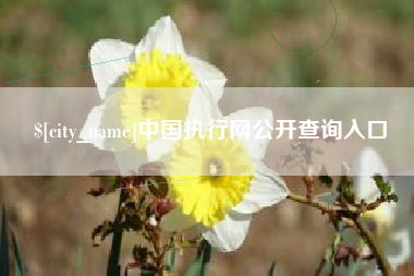 连云港中国执行网公开查询入口
