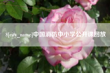 连云港中国消防中小学公开课回放