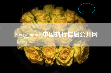 连云港中国执行信息公开网