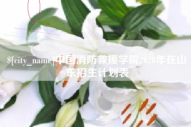 连云港中国消防救援学院2020年在山东招生计划表