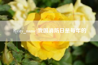 连云港我国消防日是每年的
