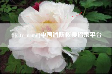 连云港中国消防救援招录平台