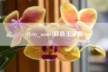 连云港邱县王子磊