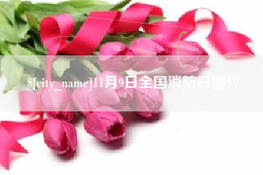 连云港11月9日全国消防日图片