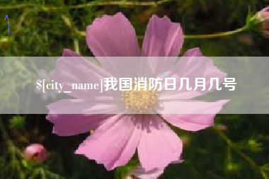 连云港我国消防日几月几号