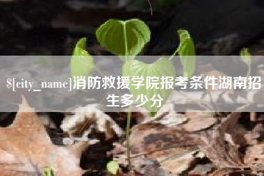 连云港消防救援学院报考条件湖南招生多少分