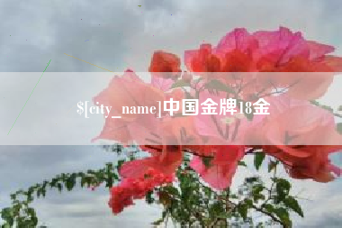 连云港中国金牌18金
