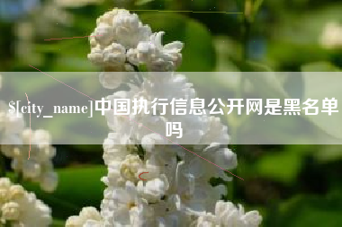 连云港中国执行信息公开网是黑名单吗