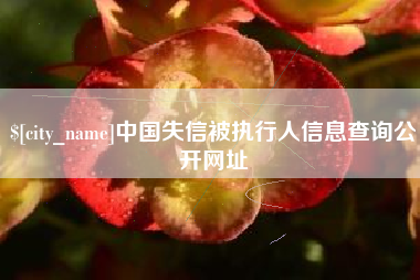连云港中国失信被执行人信息查询公开网址