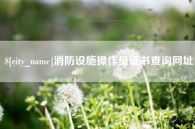 连云港消防设施操作员证书查询网址