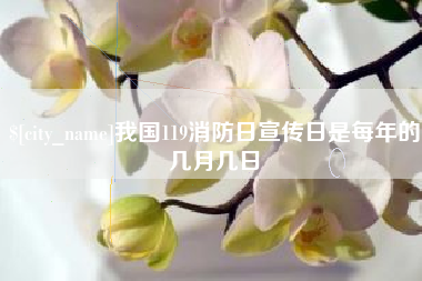 连云港我国119消防日宣传日是每年的几月几日