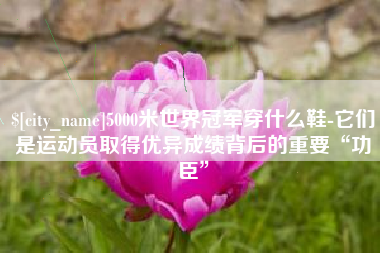 连云港5000米世界冠军穿什么鞋-它们是运动员取得优异成绩背后的重要“功臣”