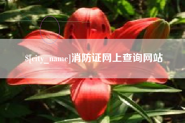连云港消防证网上查询网站