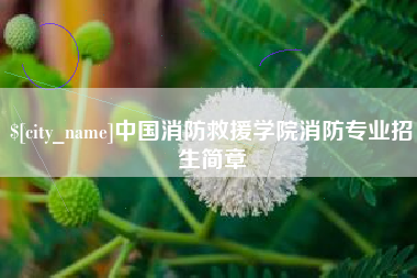 连云港中国消防救援学院消防专业招生简章