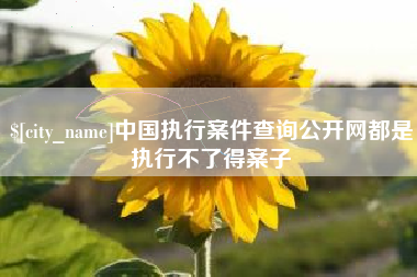 连云港中国执行案件查询公开网都是执行不了得案子