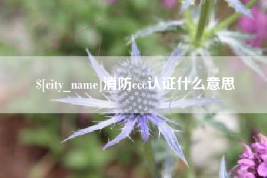 连云港消防ccc认证什么意思