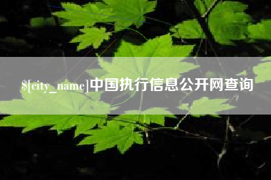 连云港中国执行信息公开网查询