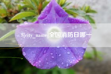 连云港全国消防日哪一