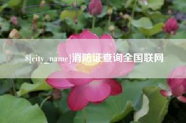 连云港消防证查询全国联网