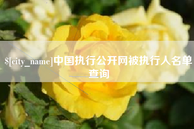 连云港中国执行公开网被执行人名单查询