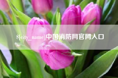 连云港中国消防网官网入口