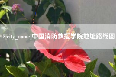 连云港中国消防救援学院地址路线图