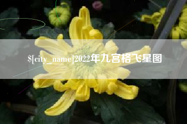 连云港2022年九宫格飞星图
