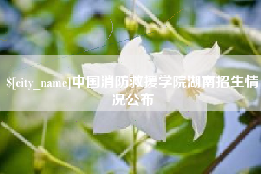 连云港中国消防救援学院湖南招生情况公布