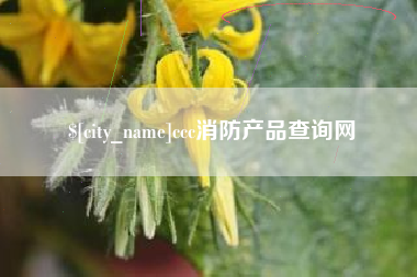 连云港ccc消防产品查询网
