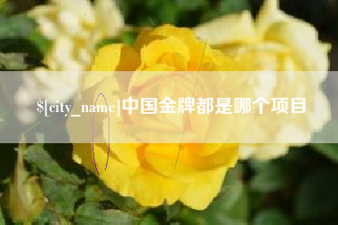 连云港中国金牌都是哪个项目