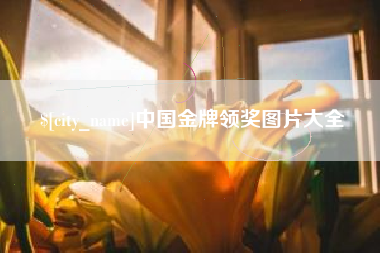连云港中国金牌领奖图片大全