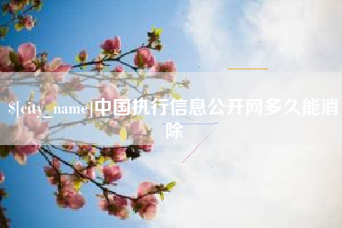 连云港中国执行信息公开网多久能消除