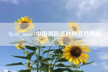 连云港中国消防器材网官方网站