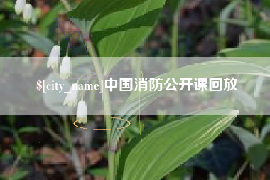 连云港中国消防公开课回放