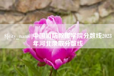 连云港中国消防救援学院分数线2023年河北录取分数线