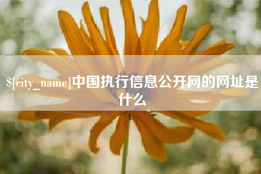 连云港中国执行信息公开网的网址是什么