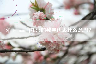 连云港九宫的数字代表什么意思？