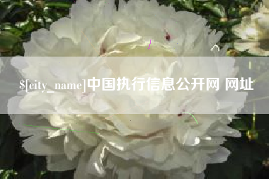 连云港中国执行信息公开网 网址