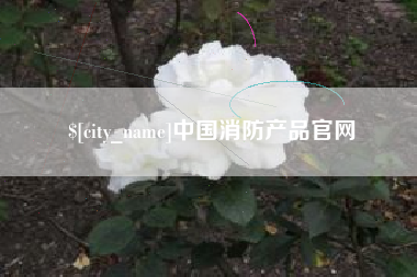 连云港中国消防产品官网